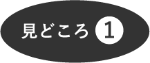 見どころ1