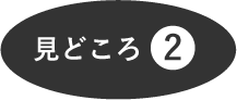 見どころ2
