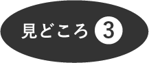 見どころ3